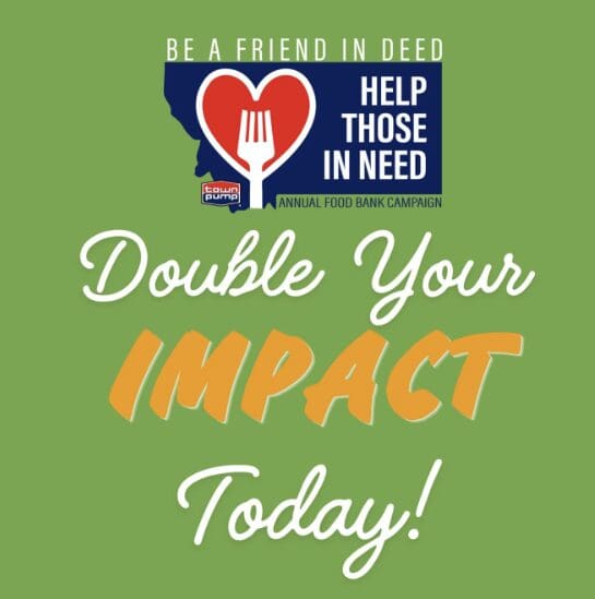Green charity poster promoting a food bank drive to 'Double Your Impact Today!' with a heart-and-fork logo on a green background.
